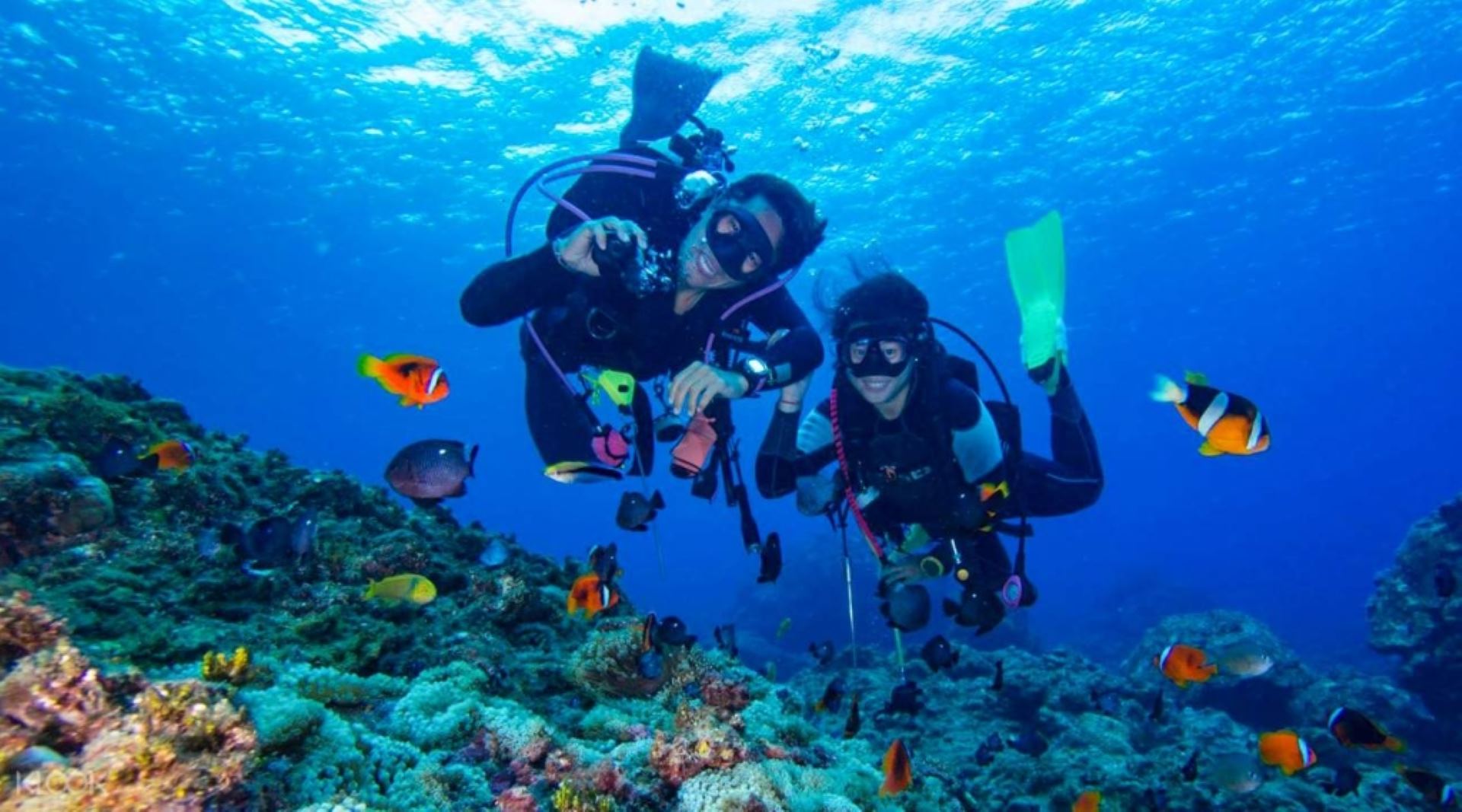 Diving Charter Turkey
